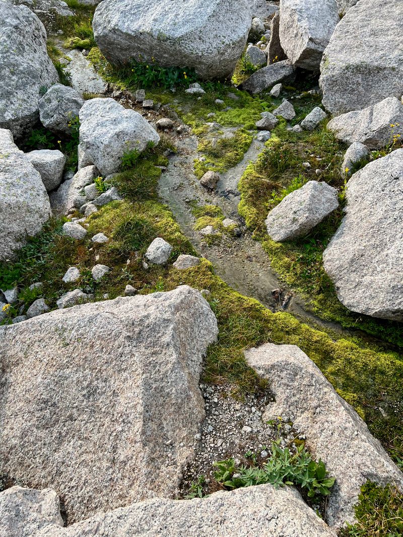 A creek embedded into boulders at the top of a mountain. The scale is impossible to determine relative to anything else in the image.