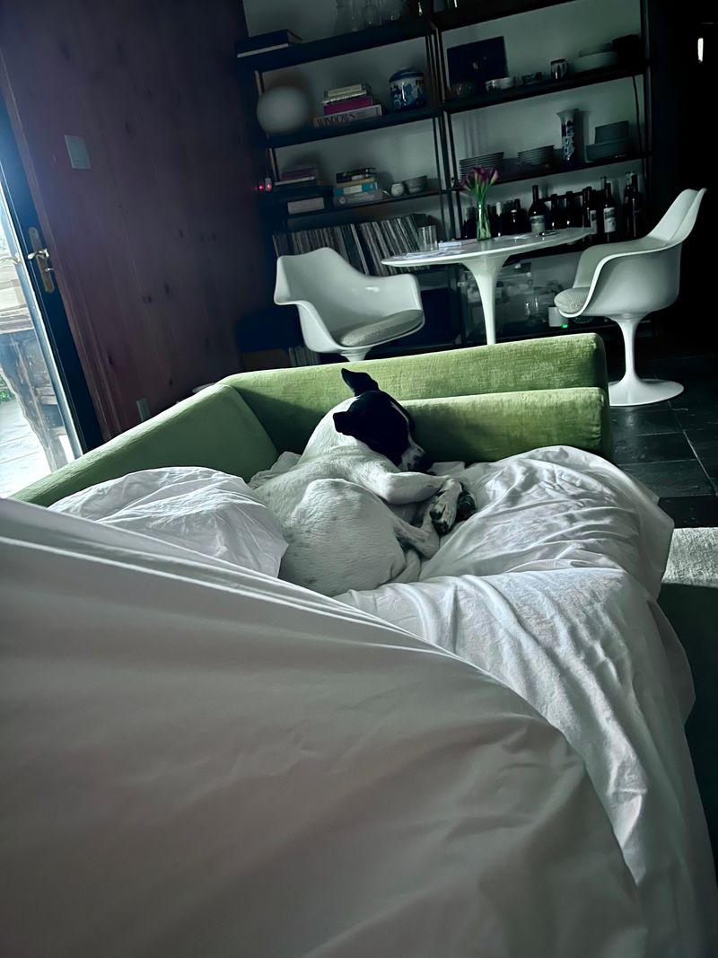 Cowboy sleeping on the couch.