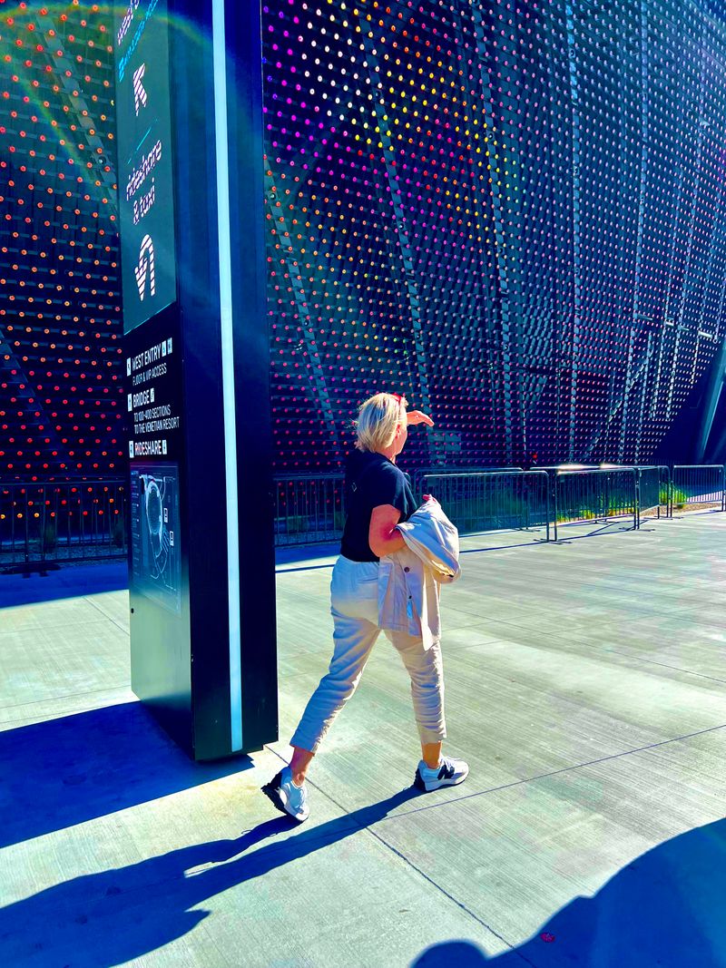 Diane walking into the Sphere.