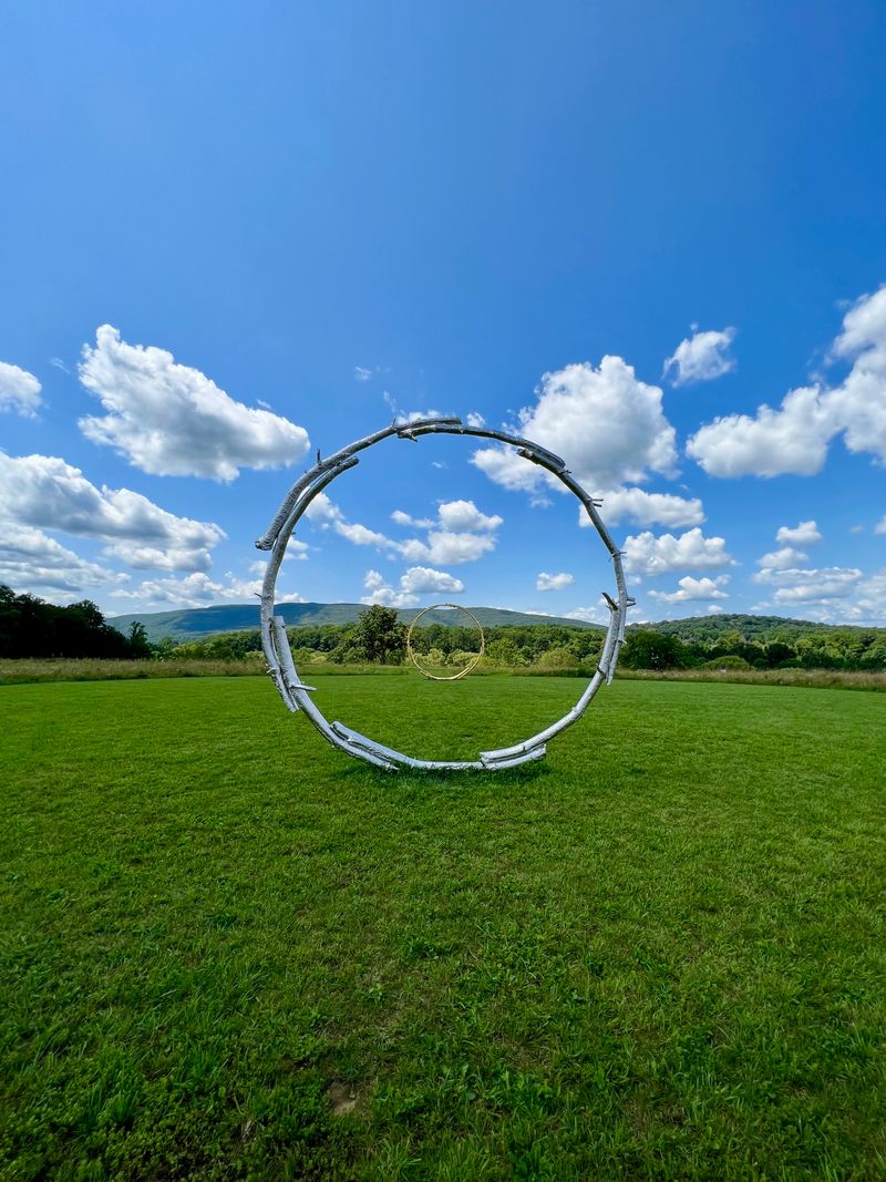 Metal rings standing opposed in the grass.